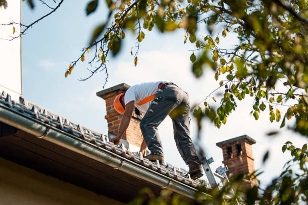 Best Roof Gutter Cleaning  in Millbury, OH