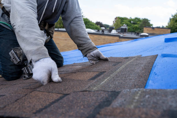 Quick and Trustworthy Emergency Roof Repair Services in Millbury, OH