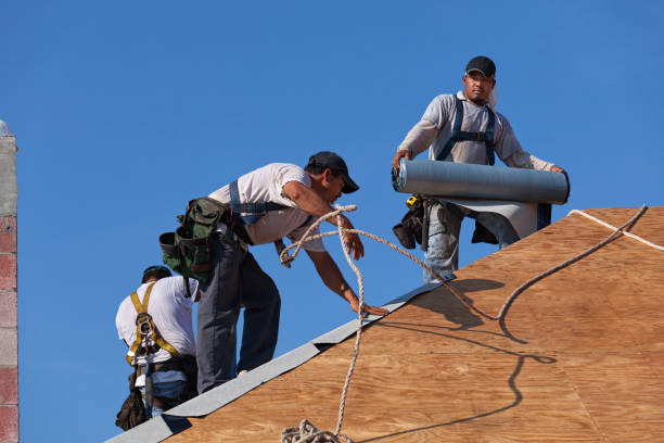 Best Emergency Roof Repair  in Millbury, OH
